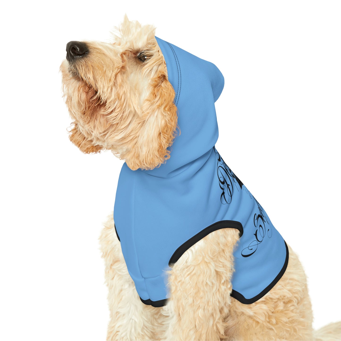 Don't Be Salty Blue Dog Hoodie