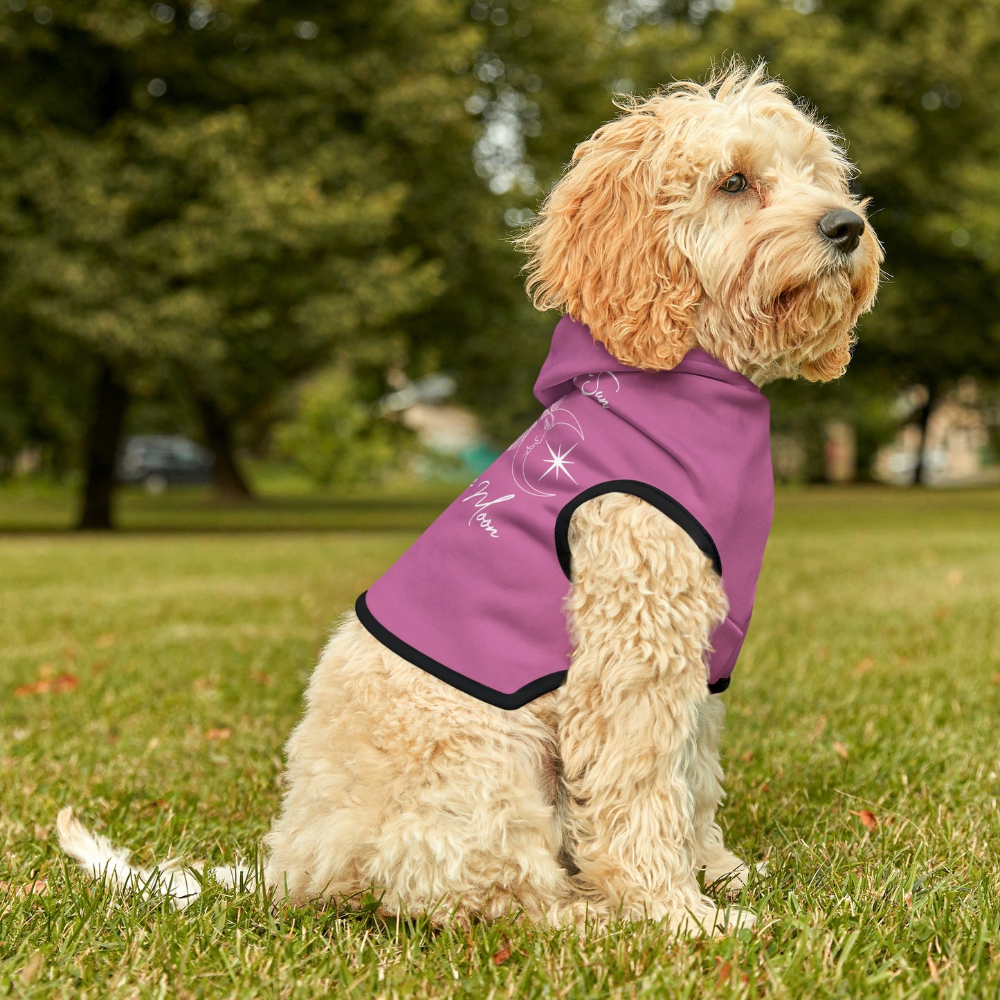 Sun and Moon Pink Dog Hoodie