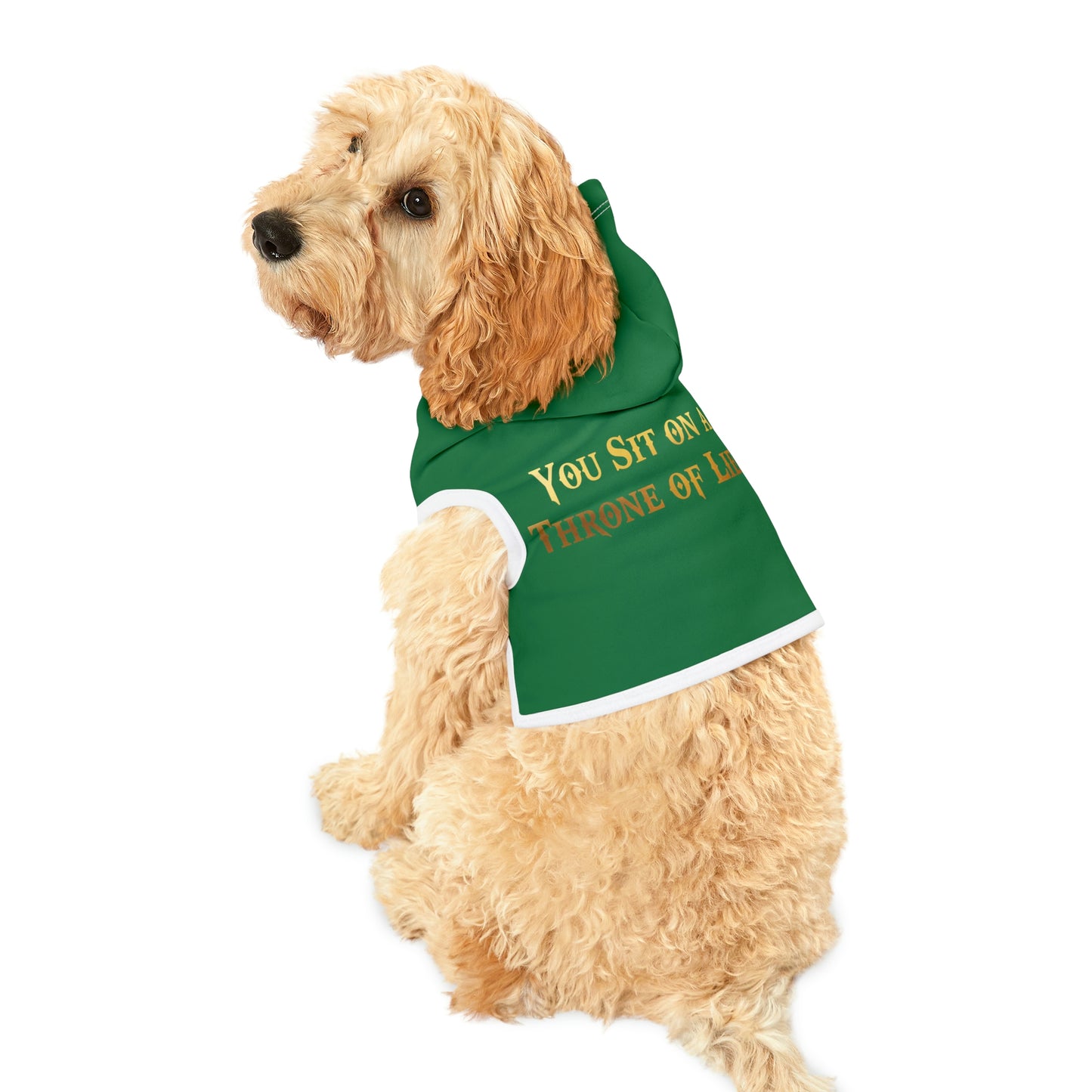 You Sit On A Throne Of Lies Dark Green Dog Hoodie