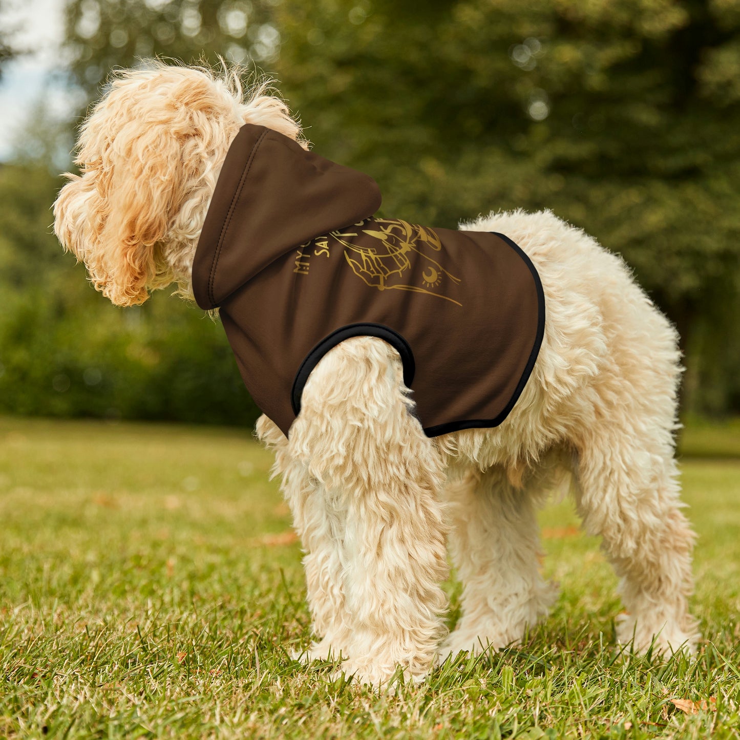 My Crystal Ball Dk Brown Dog Hoodie