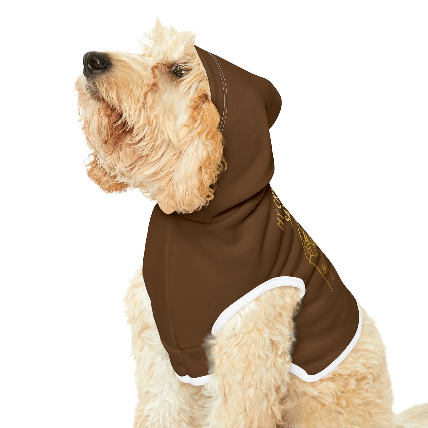 My Crystal Ball Dk Brown Dog Hoodie