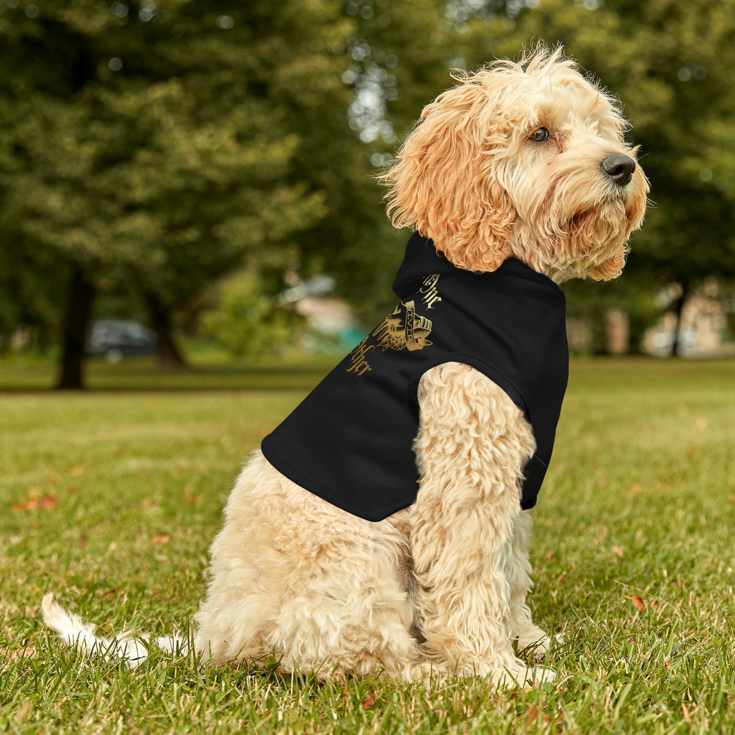 Without One There is Not the Other Black and Gold Dog Hoodie