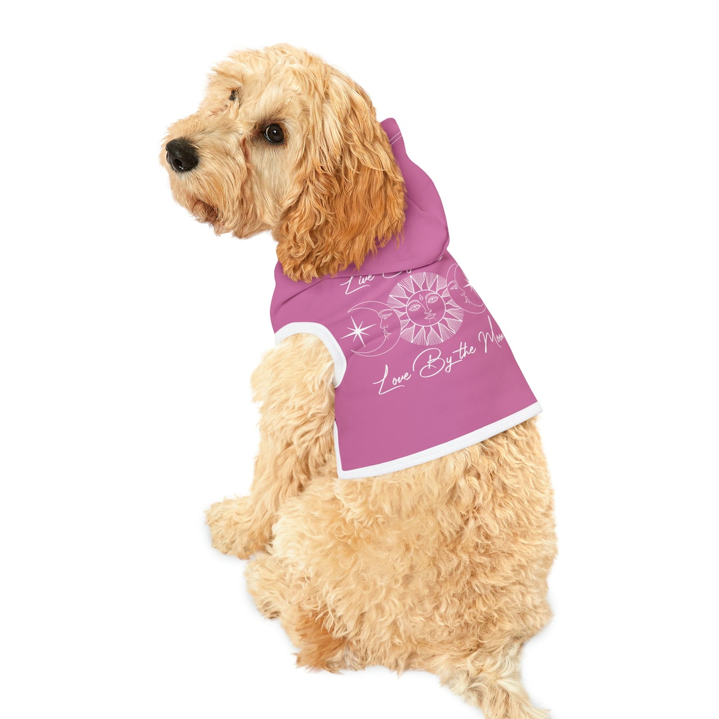 Sun and Moon Pink Dog Hoodie