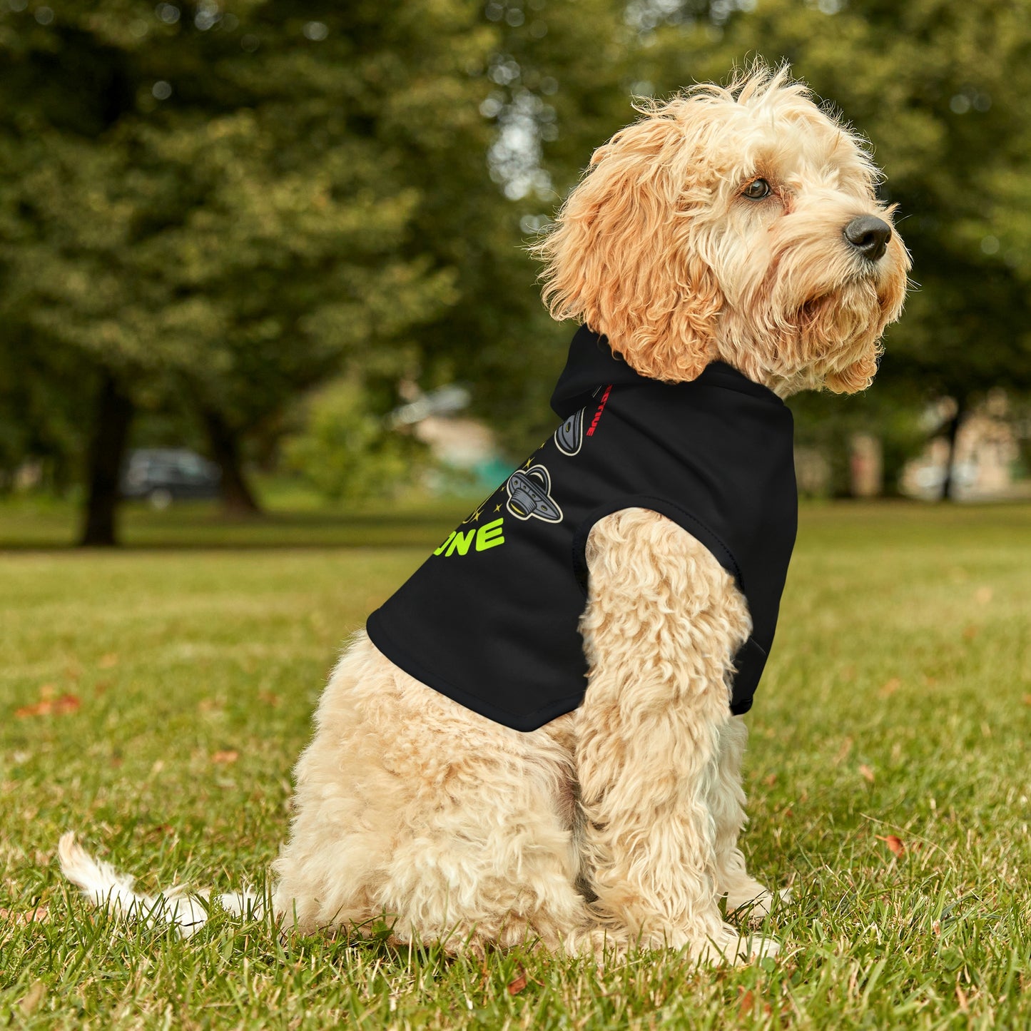 UFO Zone Black Dog Hoodie