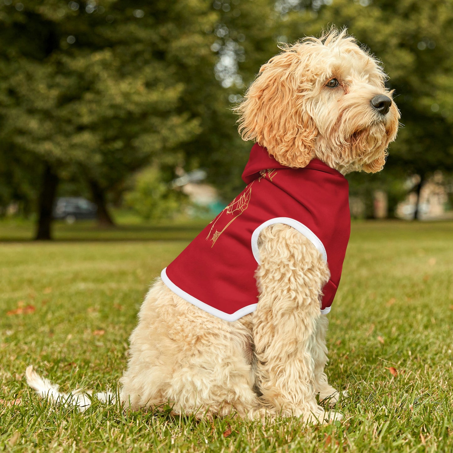 My Crystal Ball Red Dog Hoodie