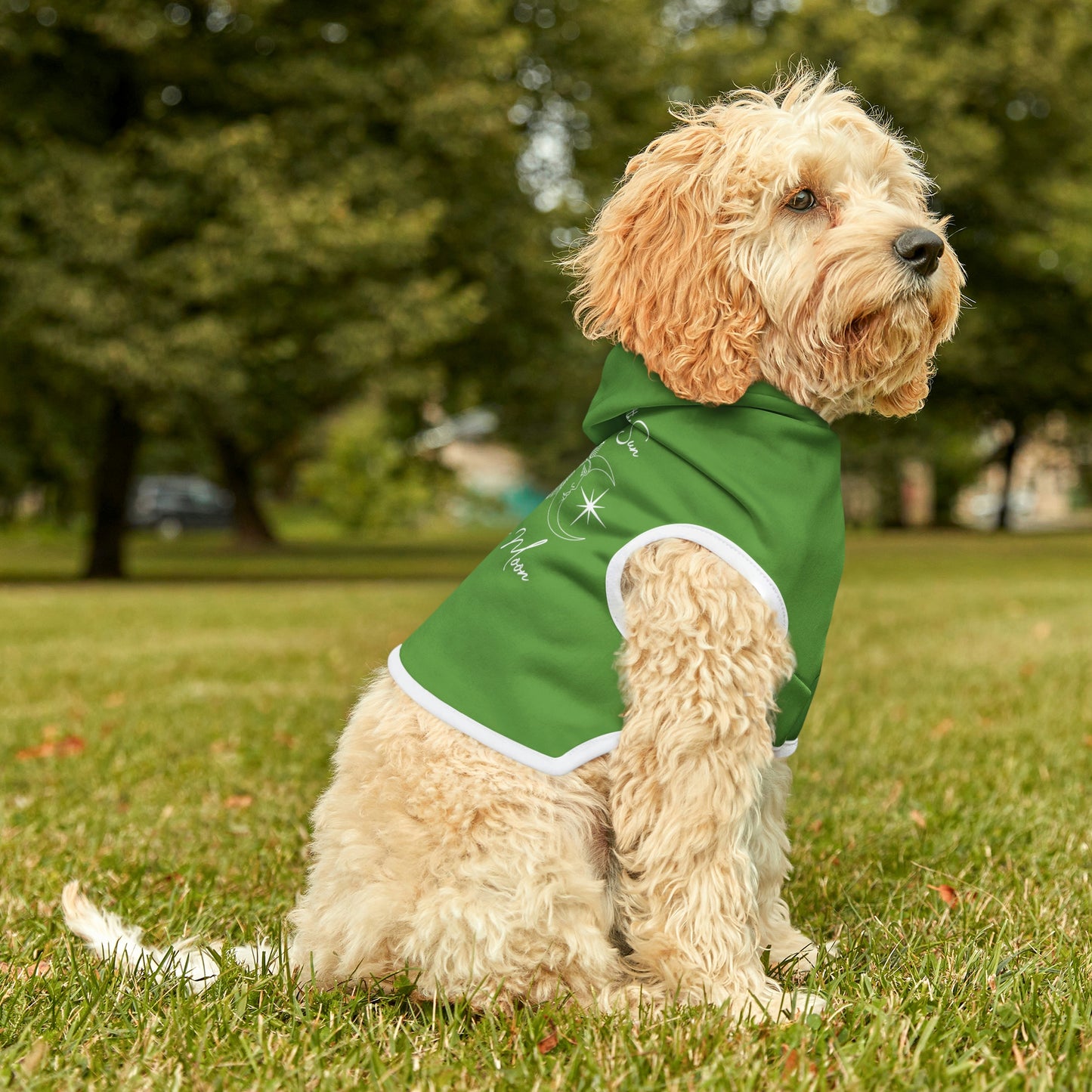 Live By the Sun Lt Green Dog Hoodie