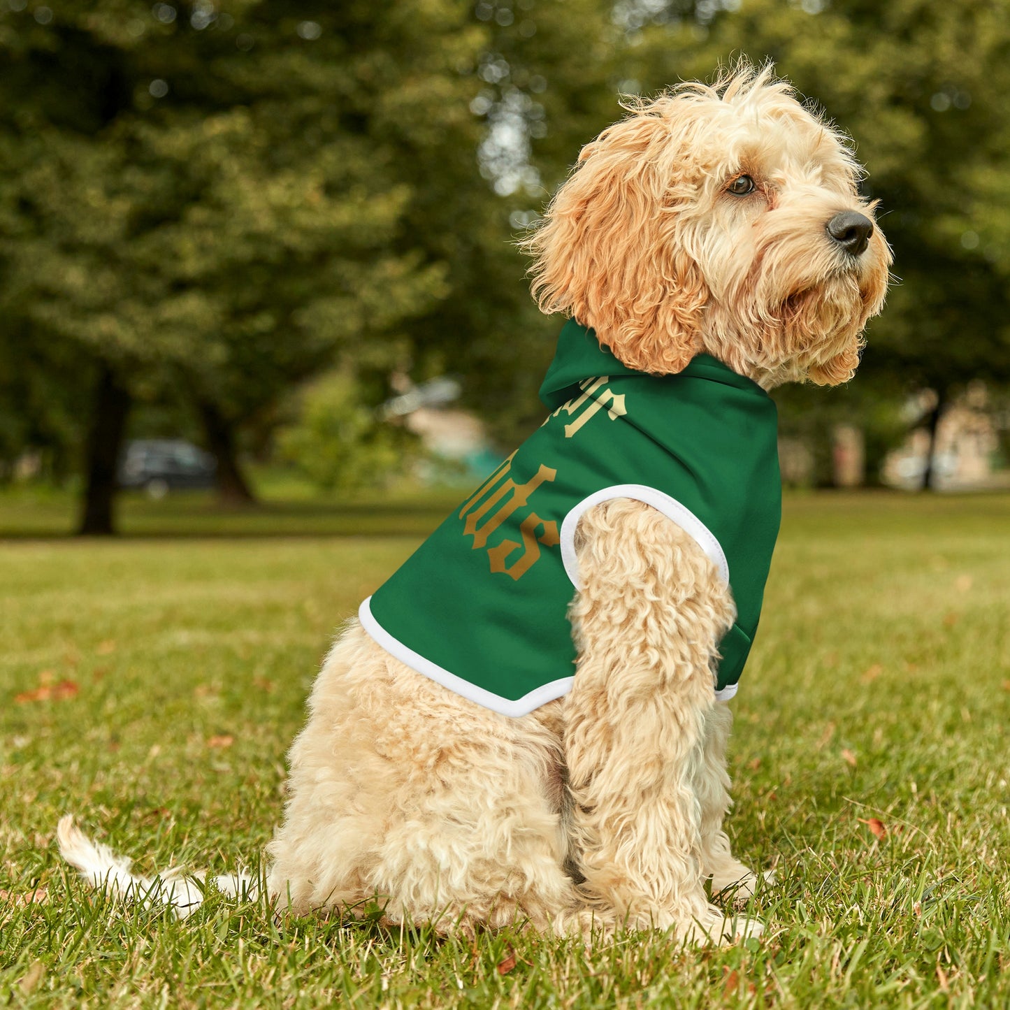 Four of Wands Green Dog Hoodie