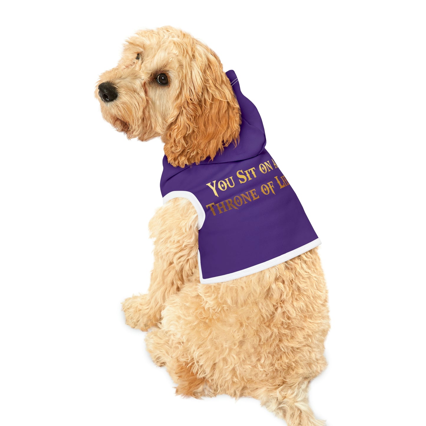 You Sit On A Throne Of Lies Dark Purple Dog Hoodie