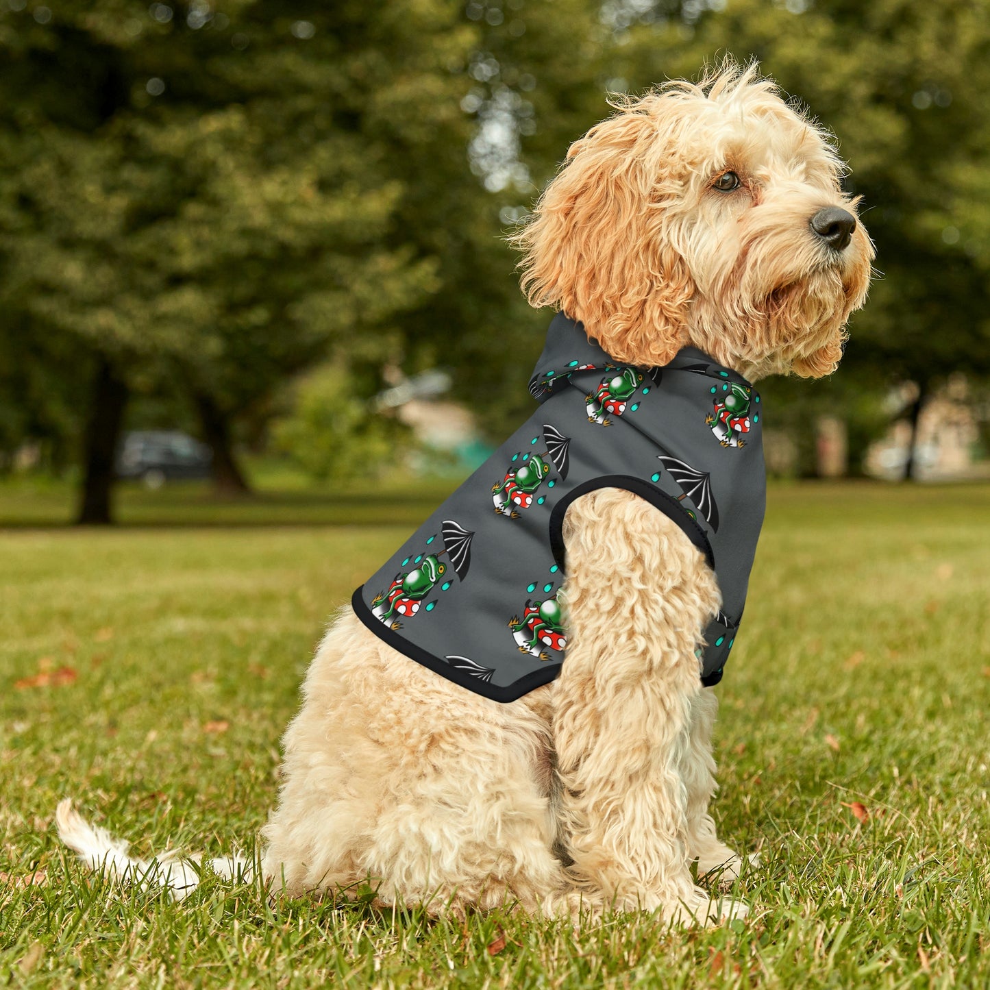 Rainy Day Frog Dk Grey Dog Hoodie