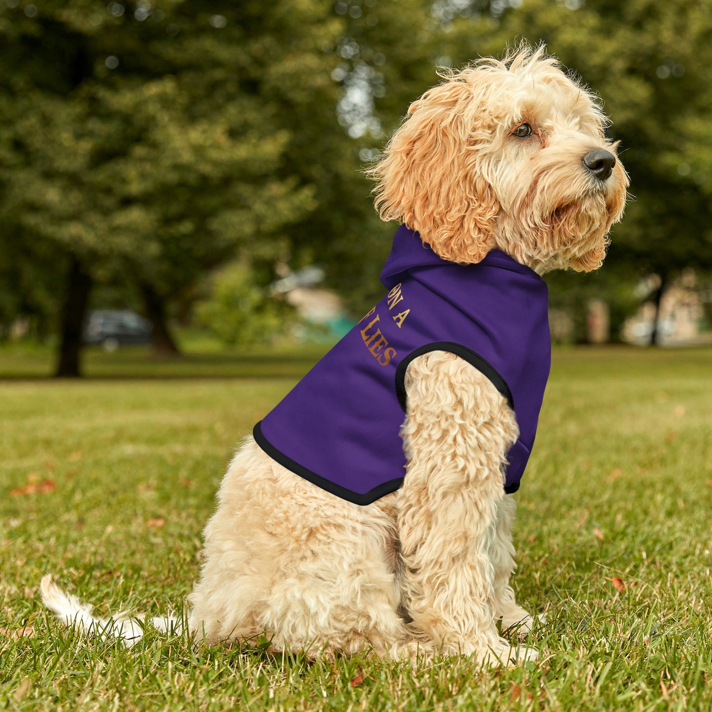 You Sit On A Throne Of Lies Dark Purple Dog Hoodie