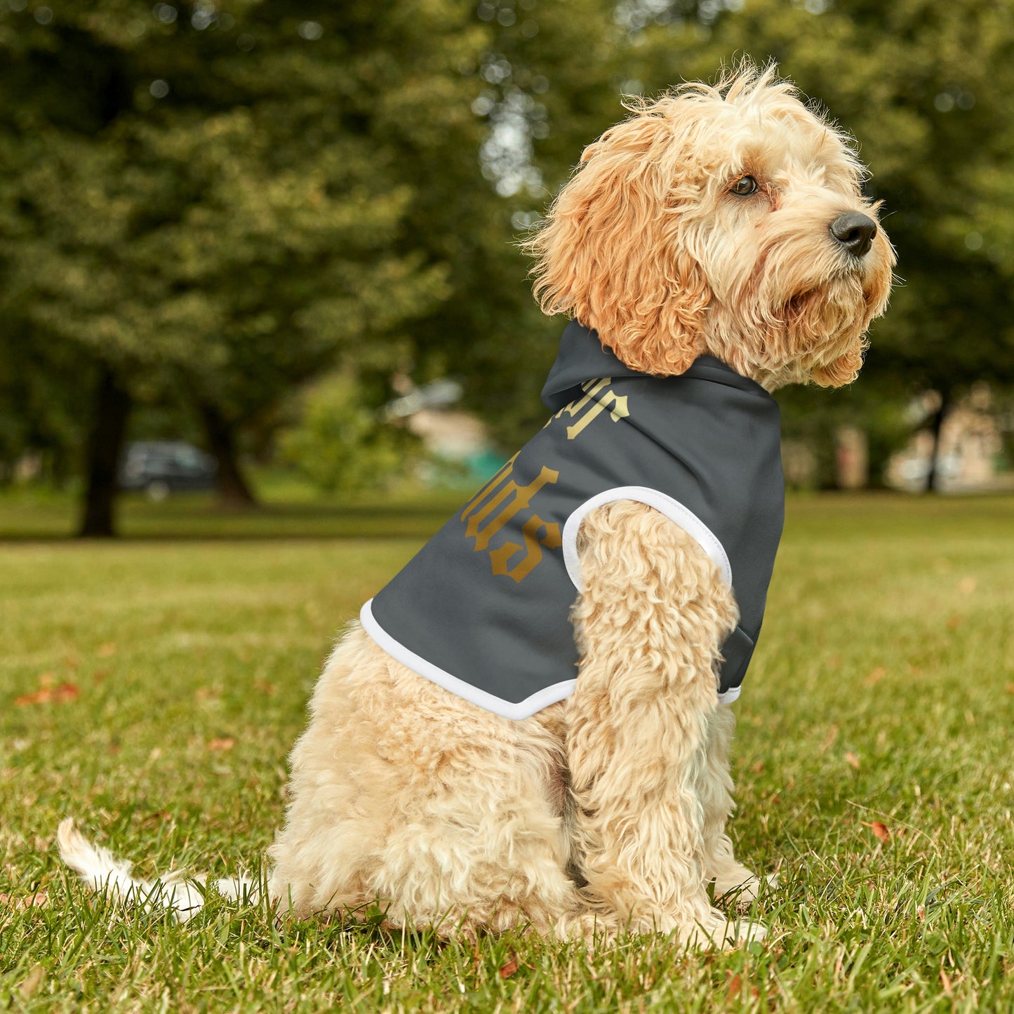 Four of Wands Dk Grey Dog Hoodie