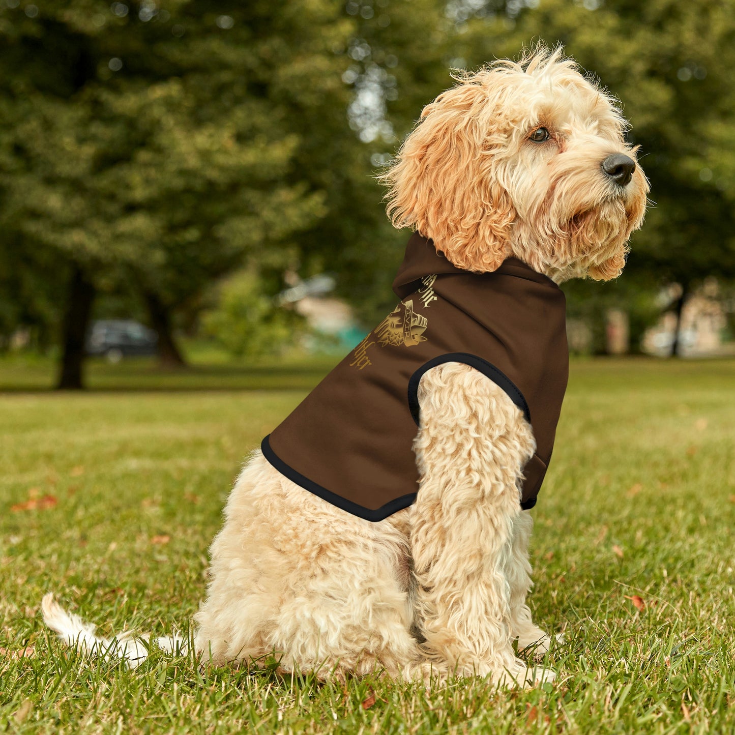 Without One There Is Not The Other Brown Dog Hoodie