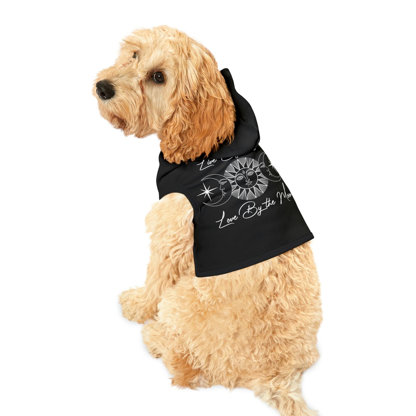 Live By the Sun Black Dog Hoodie