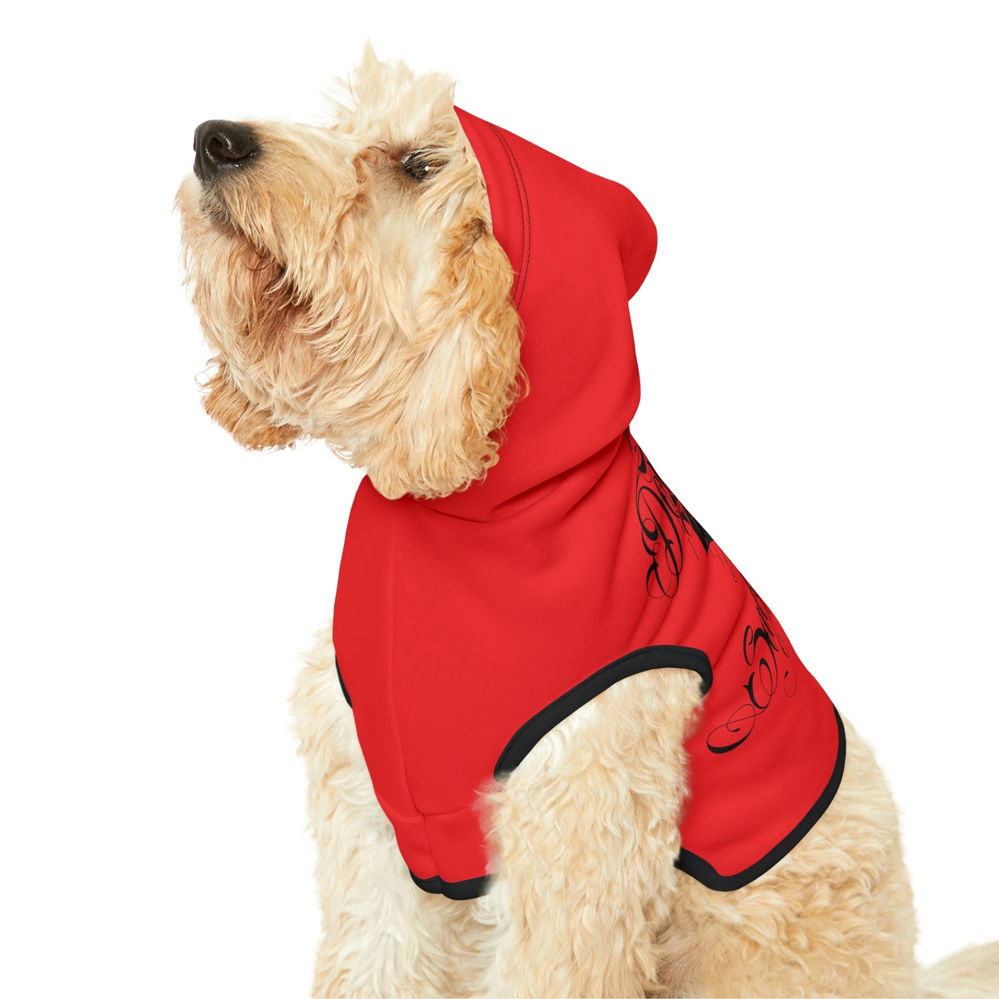 Don't Be Salty Red Dog Hoodie