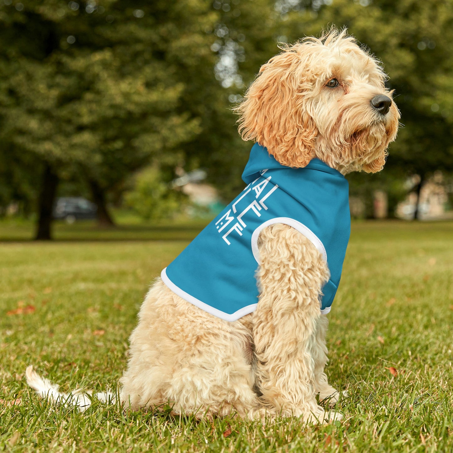 Normal People Scare Me Light Blue Doggy Hoodie