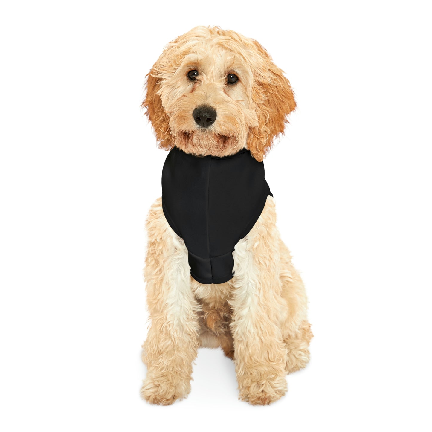 Without One There is Not the Other Black and Gold Dog Hoodie