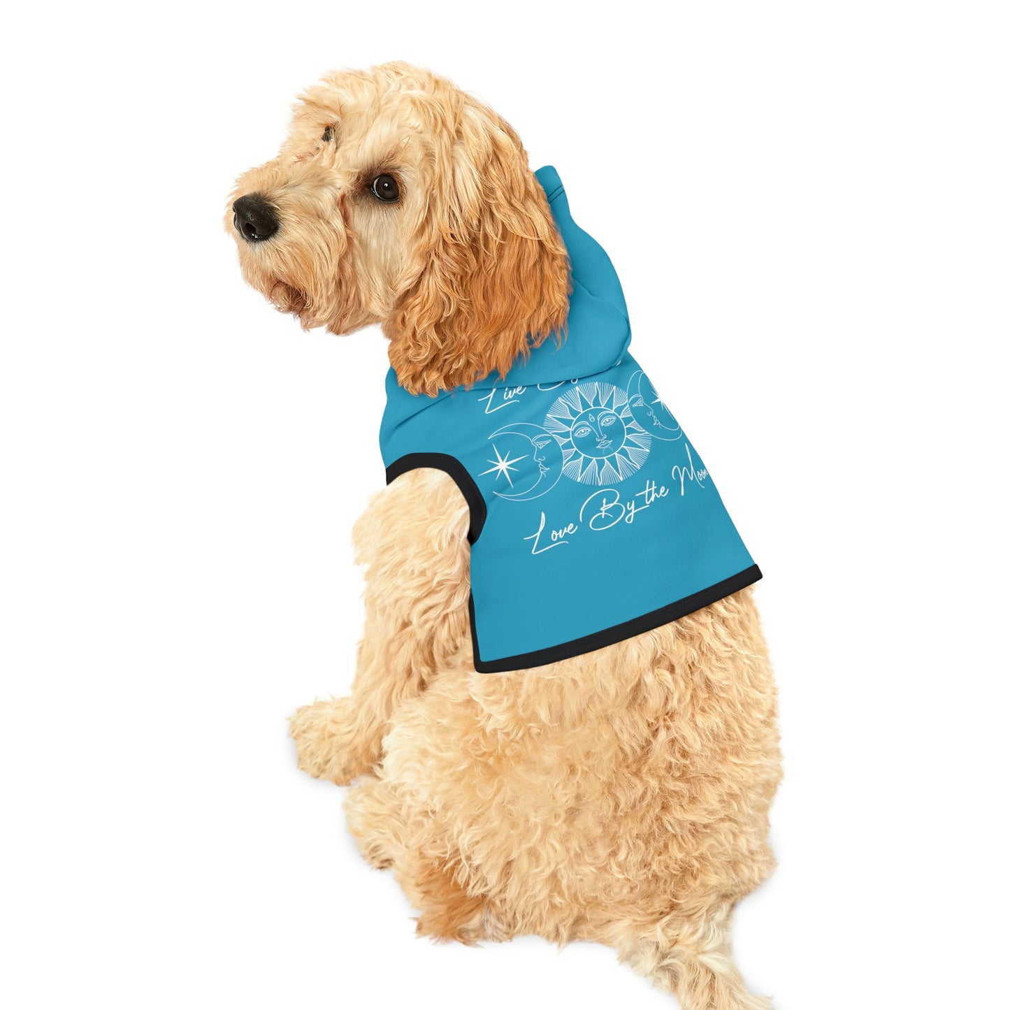 Sun and Moon Light Blue Doggy Hoodie