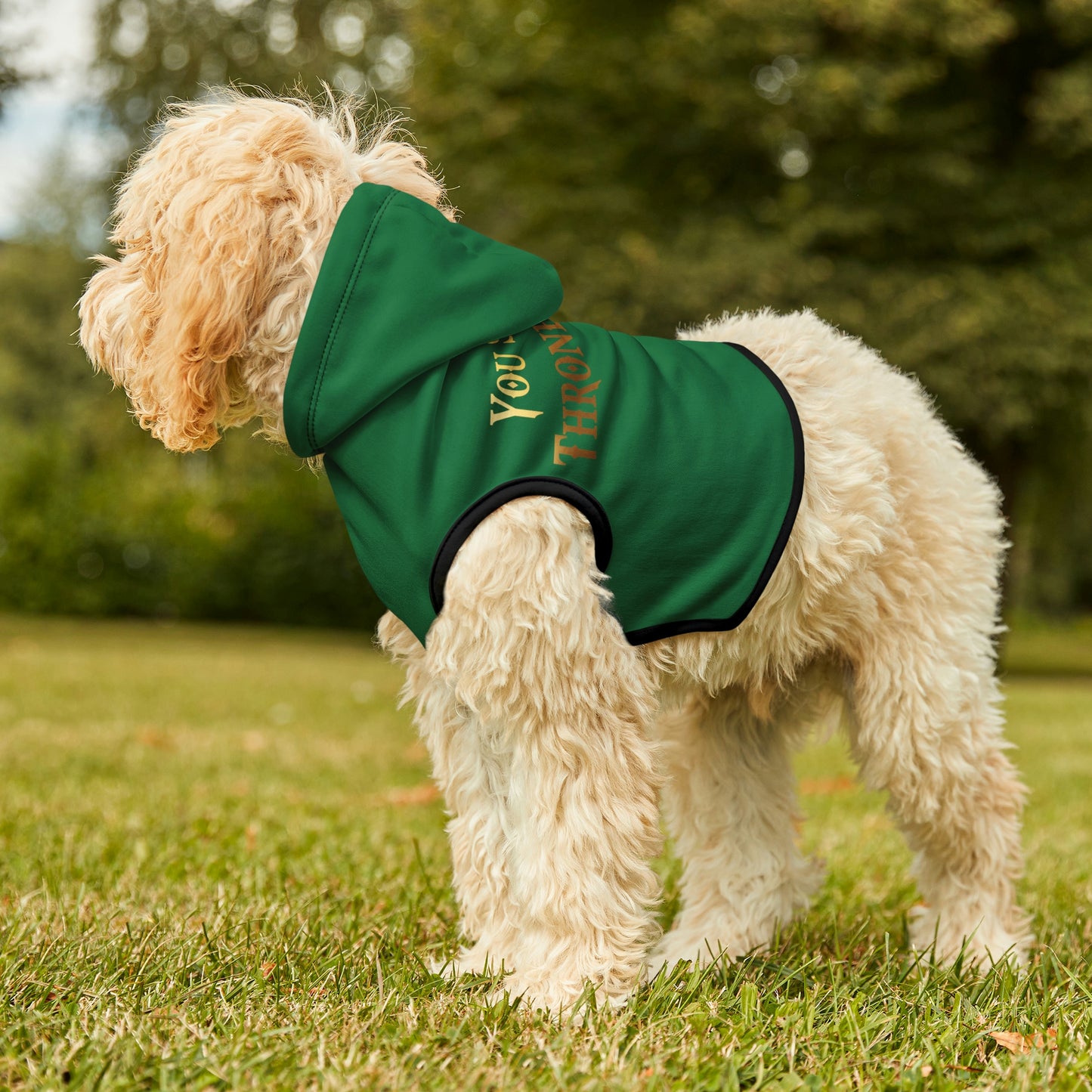 You Sit On A Throne Of Lies Dark Green Dog Hoodie