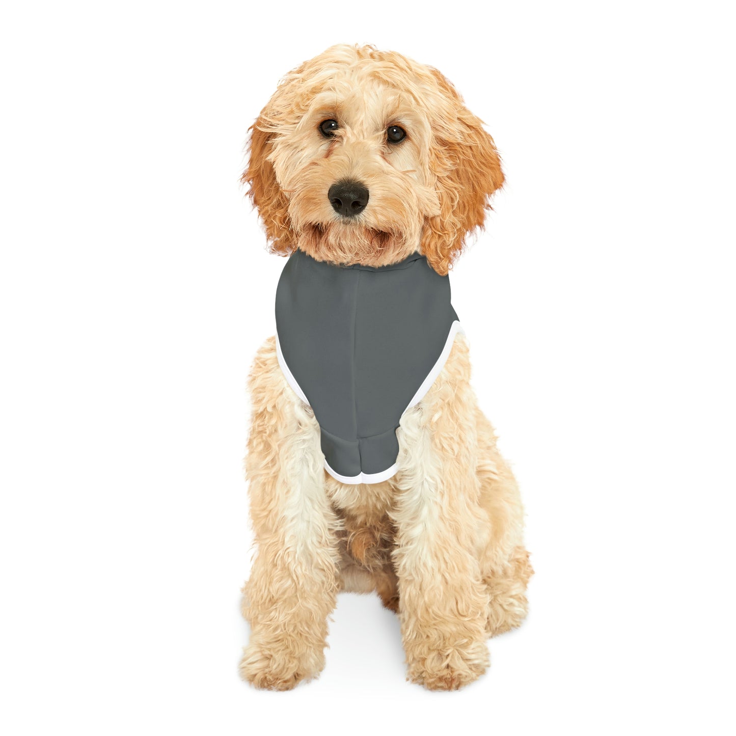 UFO Spark Dk Grey Dog Hoodie