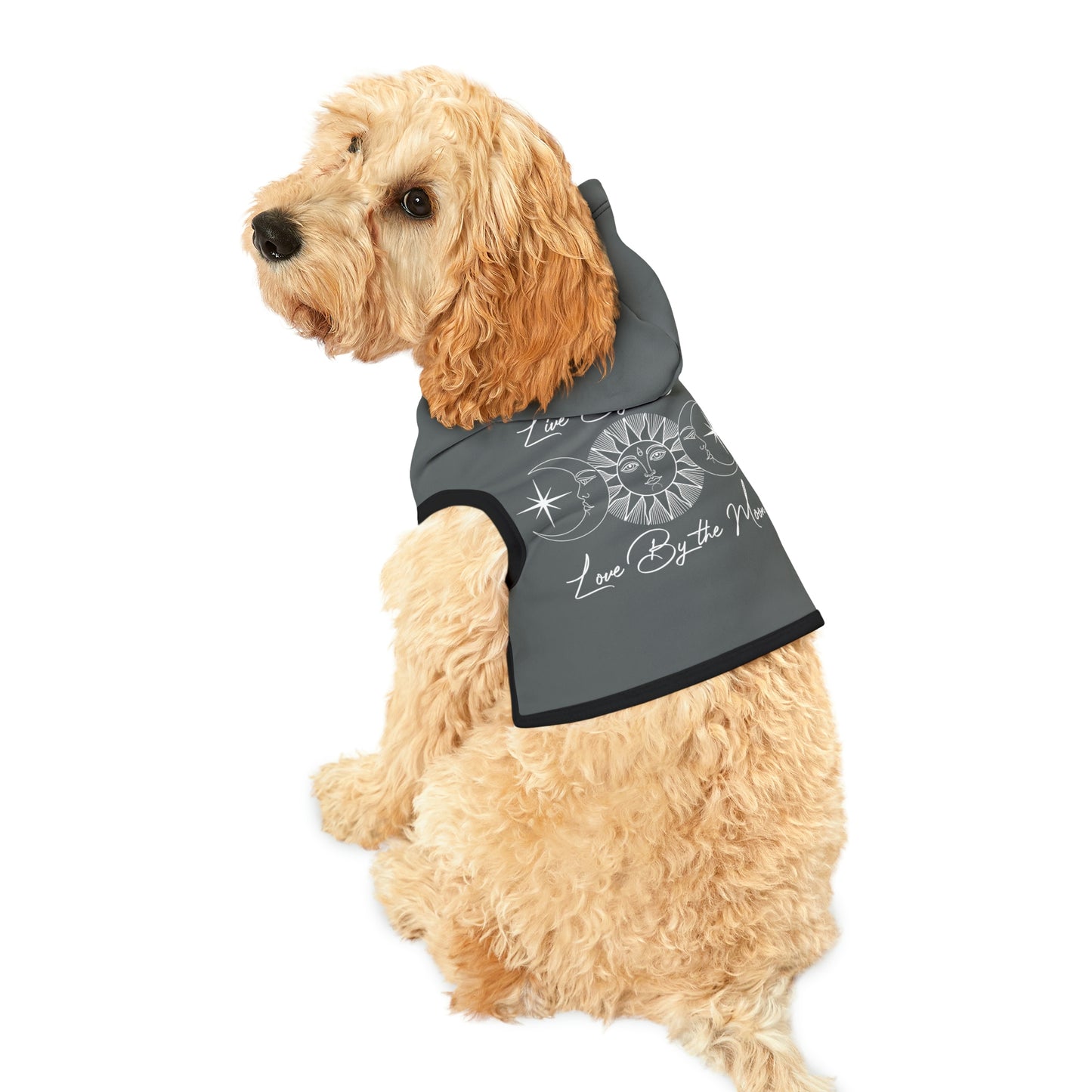 Live By the Sun Dk Grey Dog Hoodie