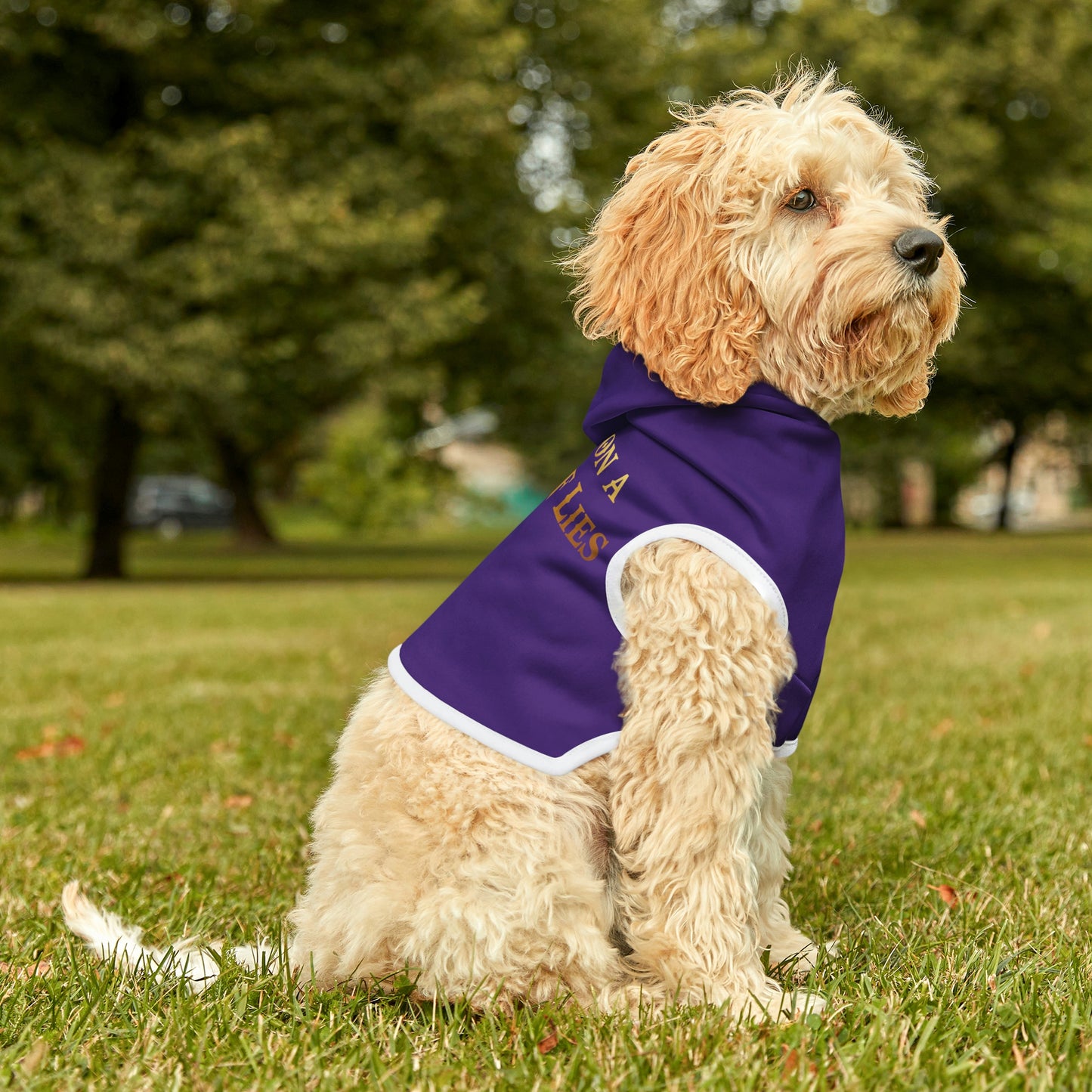 You Sit On A Throne Of Lies Dark Purple Dog Hoodie