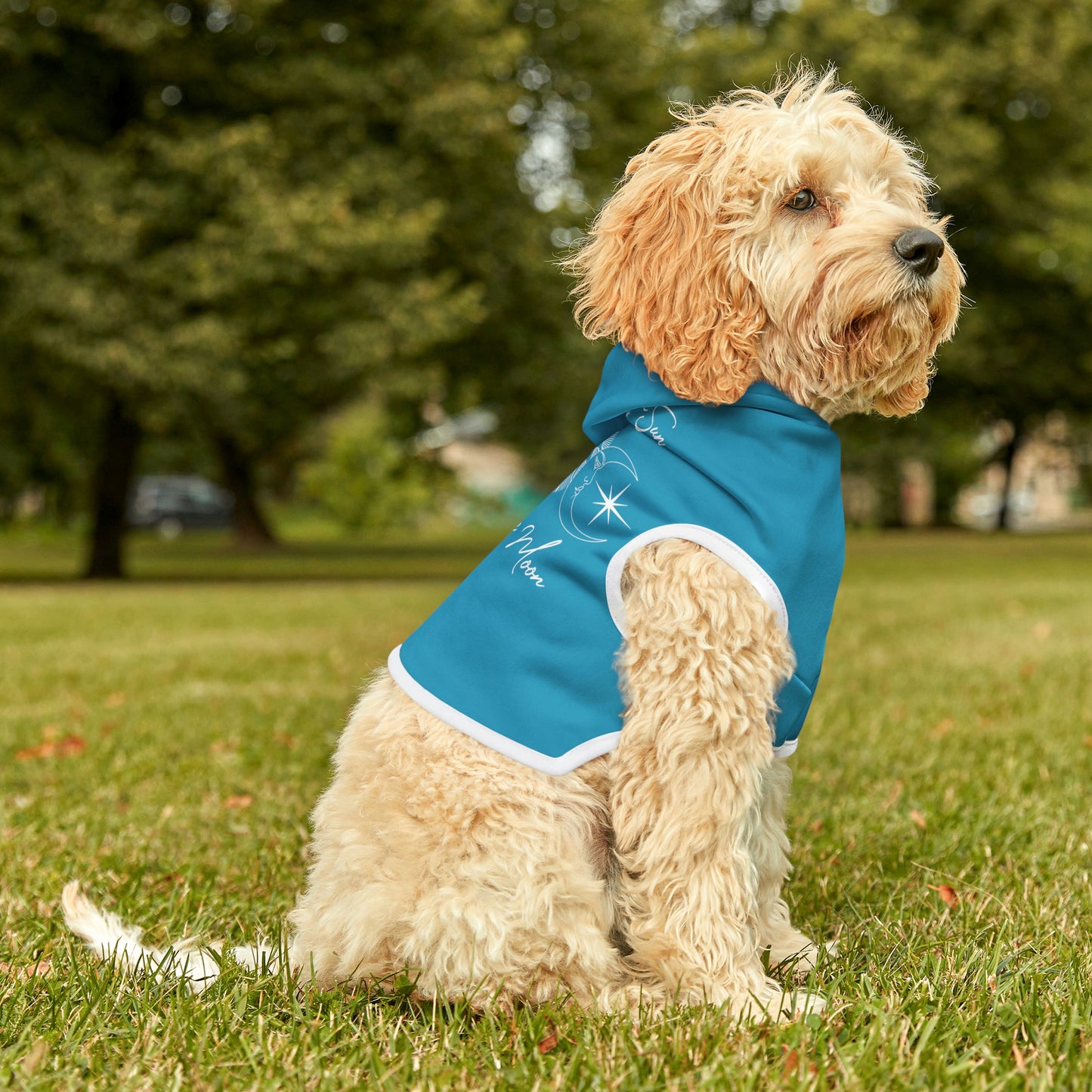 Sun and Moon Light Blue Doggy Hoodie