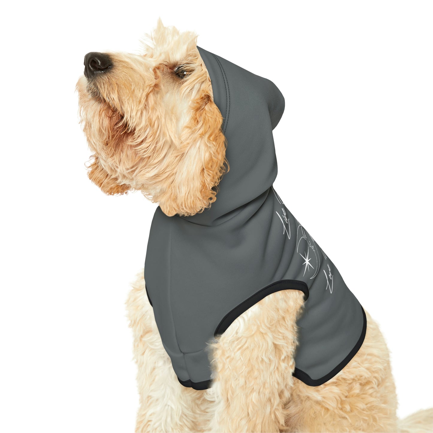 Live By the Sun Dk Grey Dog Hoodie