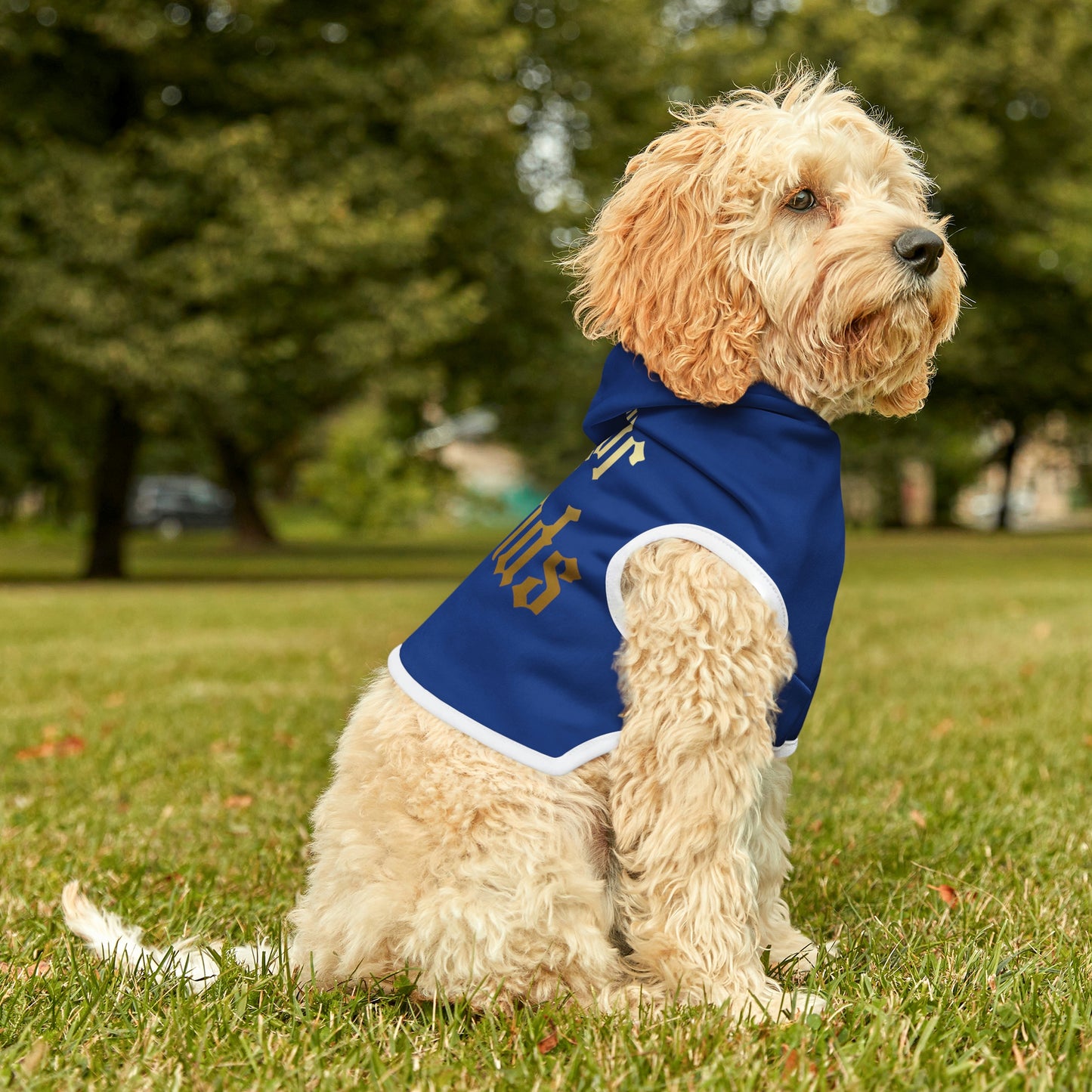 Four of Wands Dark Blue Dog Hoodie