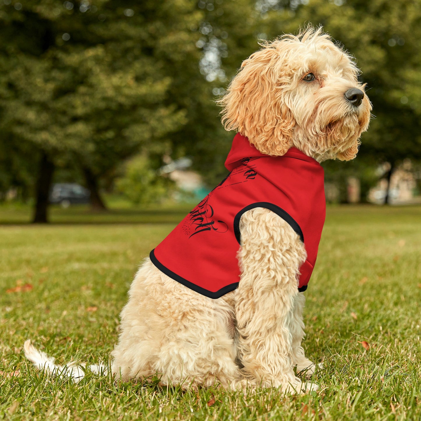 Don't Be Salty Red Dog Hoodie