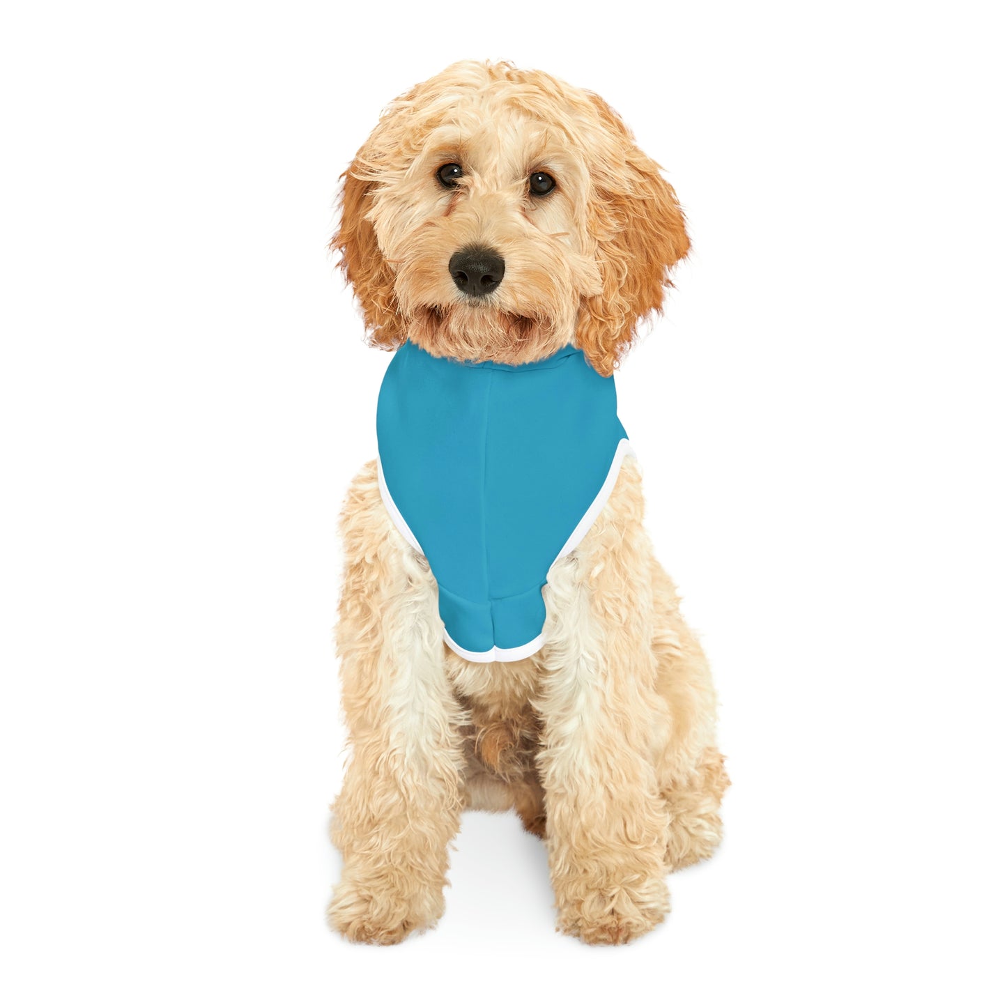 Sun and Moon Light Blue Doggy Hoodie