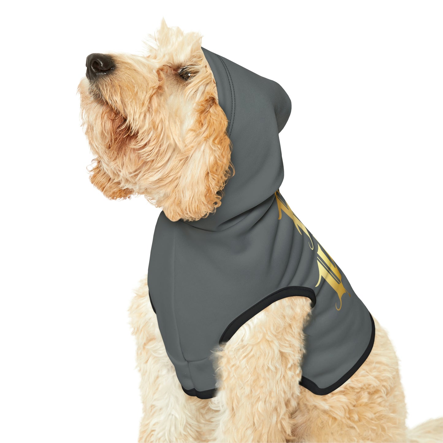 Four of Wands Dk Grey Dog Hoodie