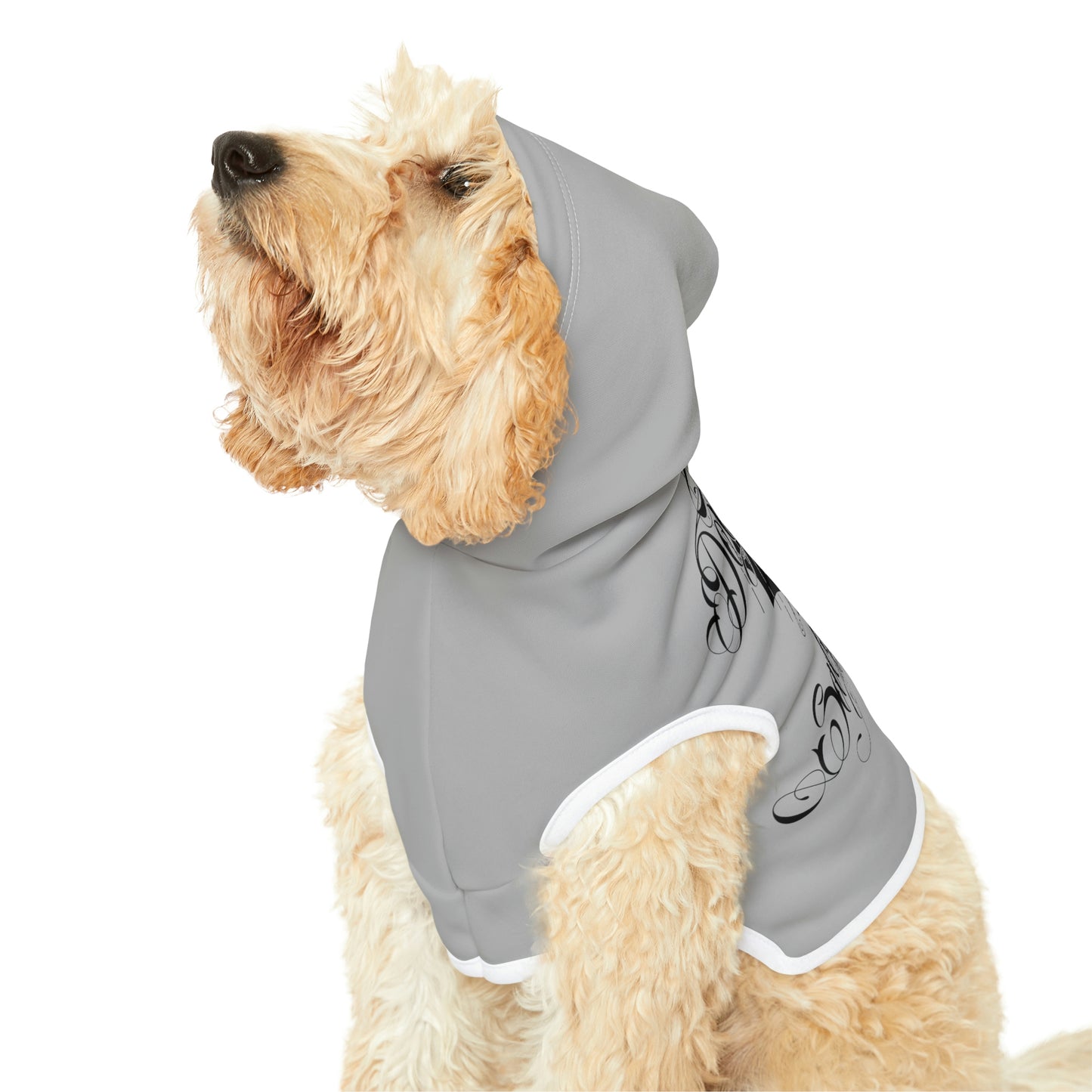 Don't Be Salty Grey Dog Hoodie