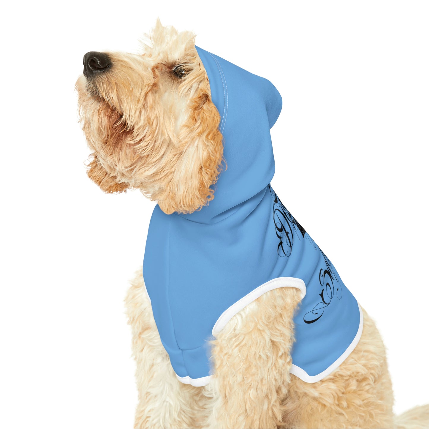 Don't Be Salty Blue Dog Hoodie