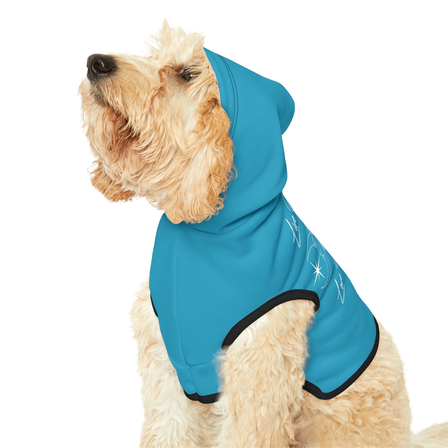 Sun and Moon Light Blue Doggy Hoodie