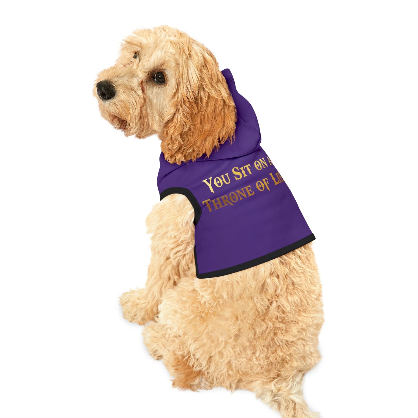 You Sit On A Throne Of Lies Dark Purple Dog Hoodie