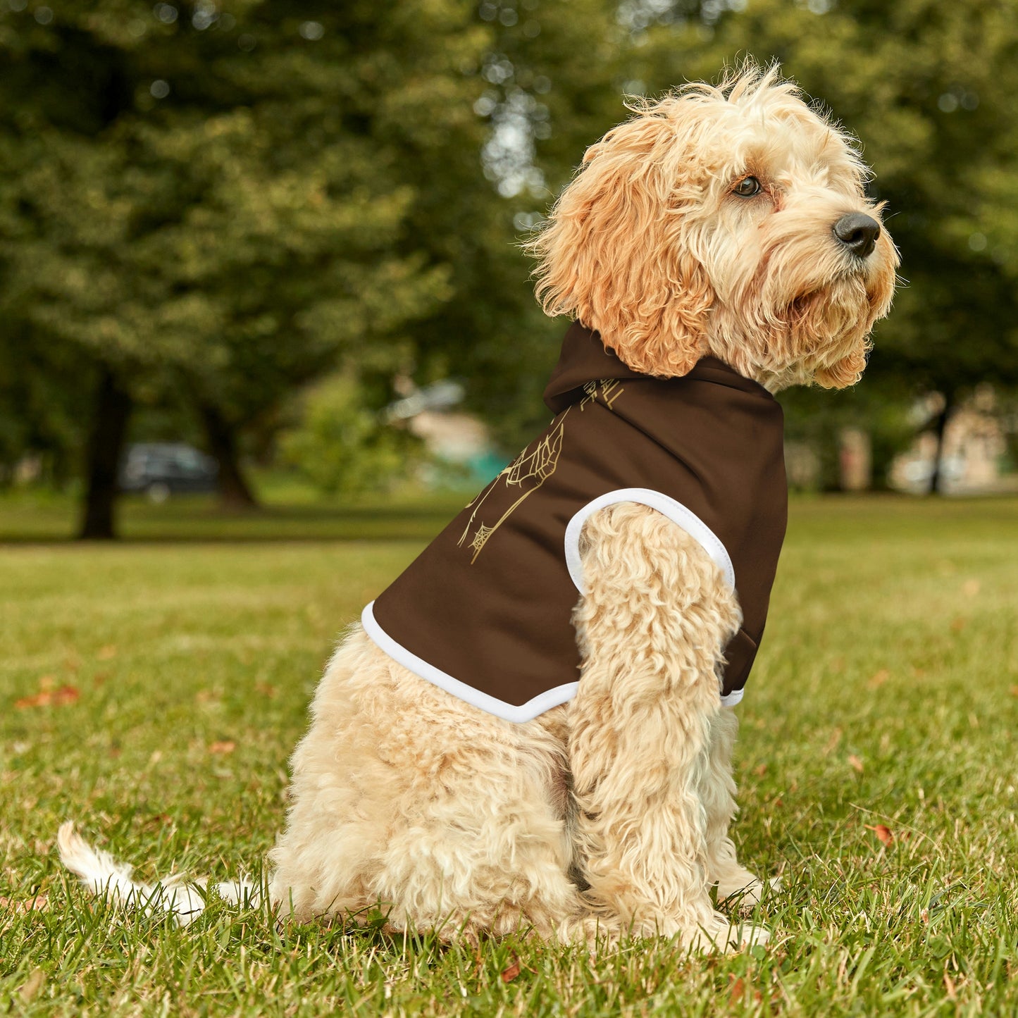 My Crystal Ball Dk Brown Dog Hoodie