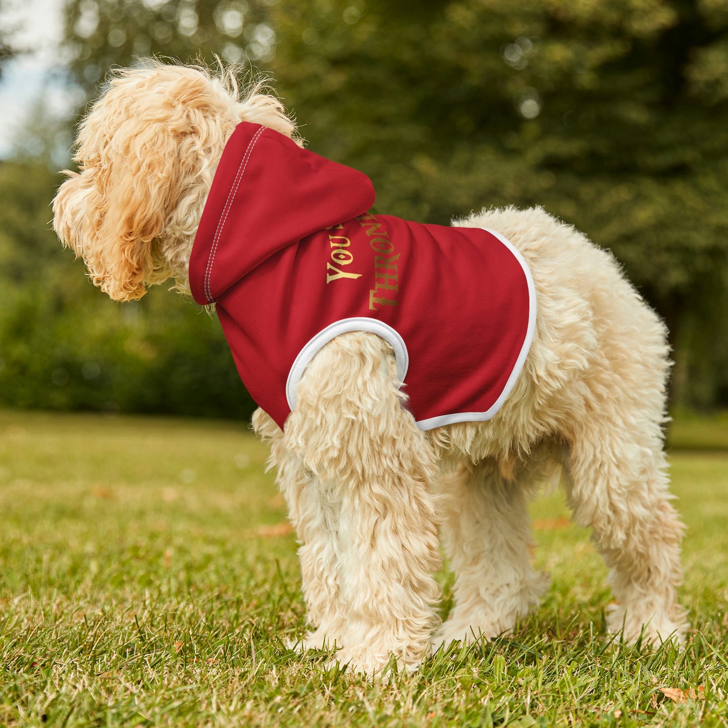 You Sit On A Throne of Lies Red Dog Hoodie