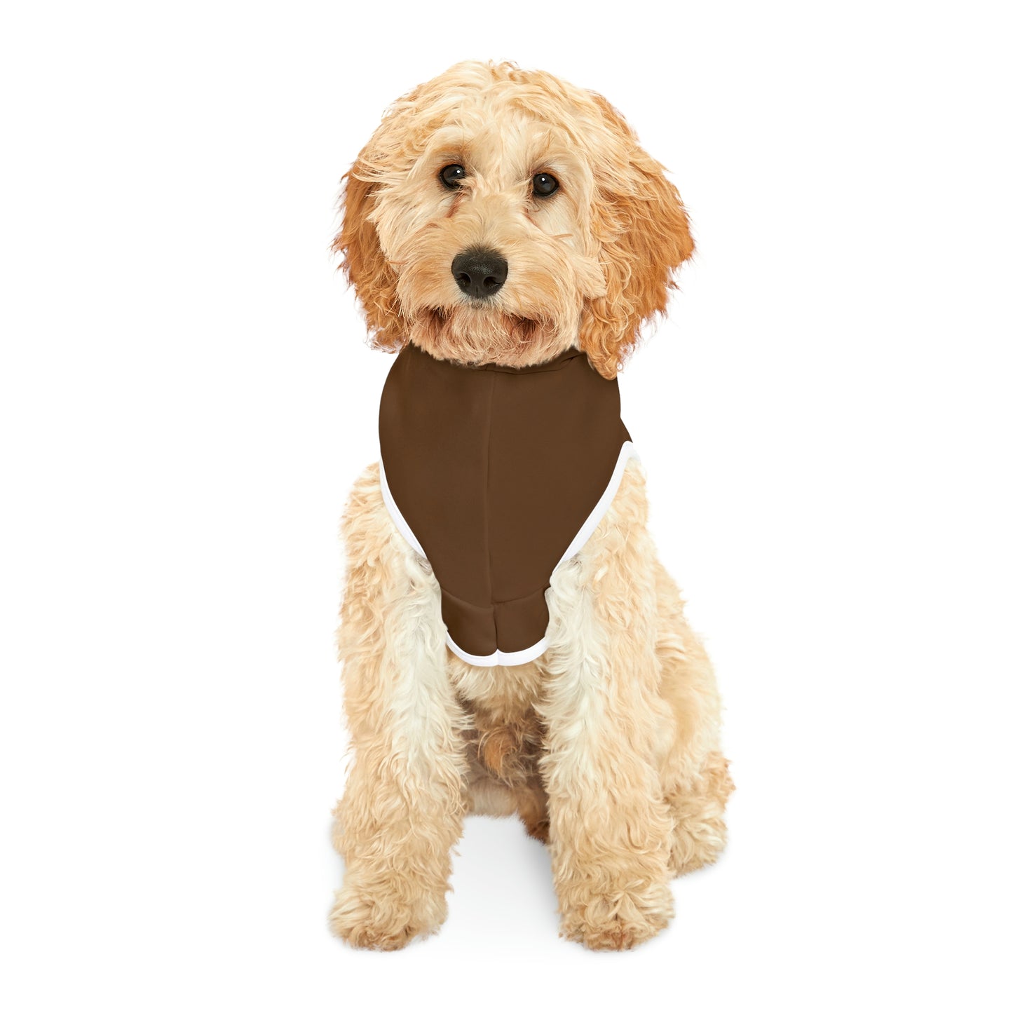 Without One There Is Not The Other Brown Dog Hoodie