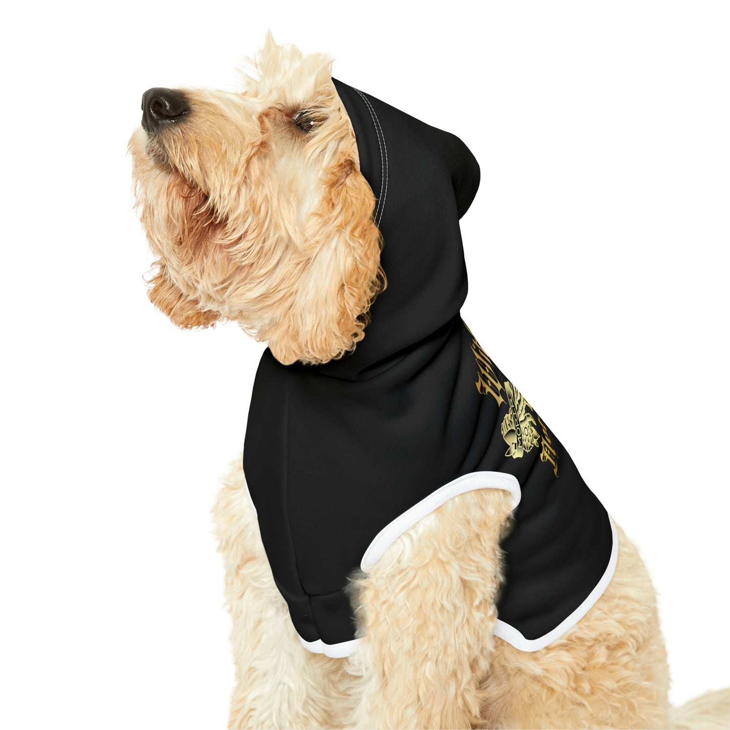 Without One There is Not the Other Black and Gold Dog Hoodie