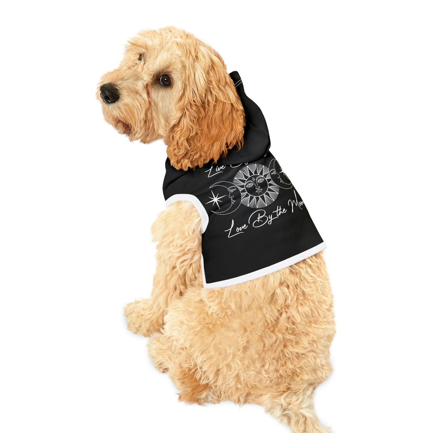 Live By the Sun Black Dog Hoodie