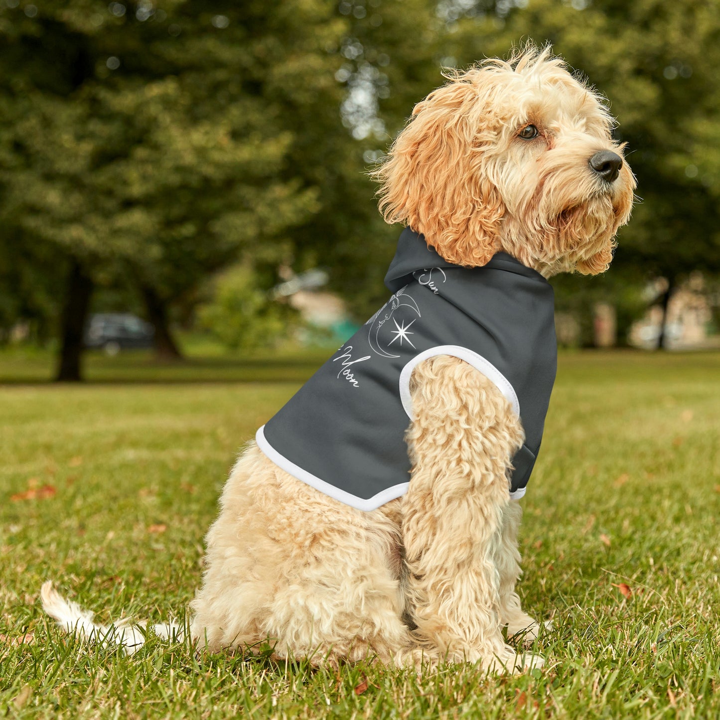 Live By the Sun Dk Grey Dog Hoodie