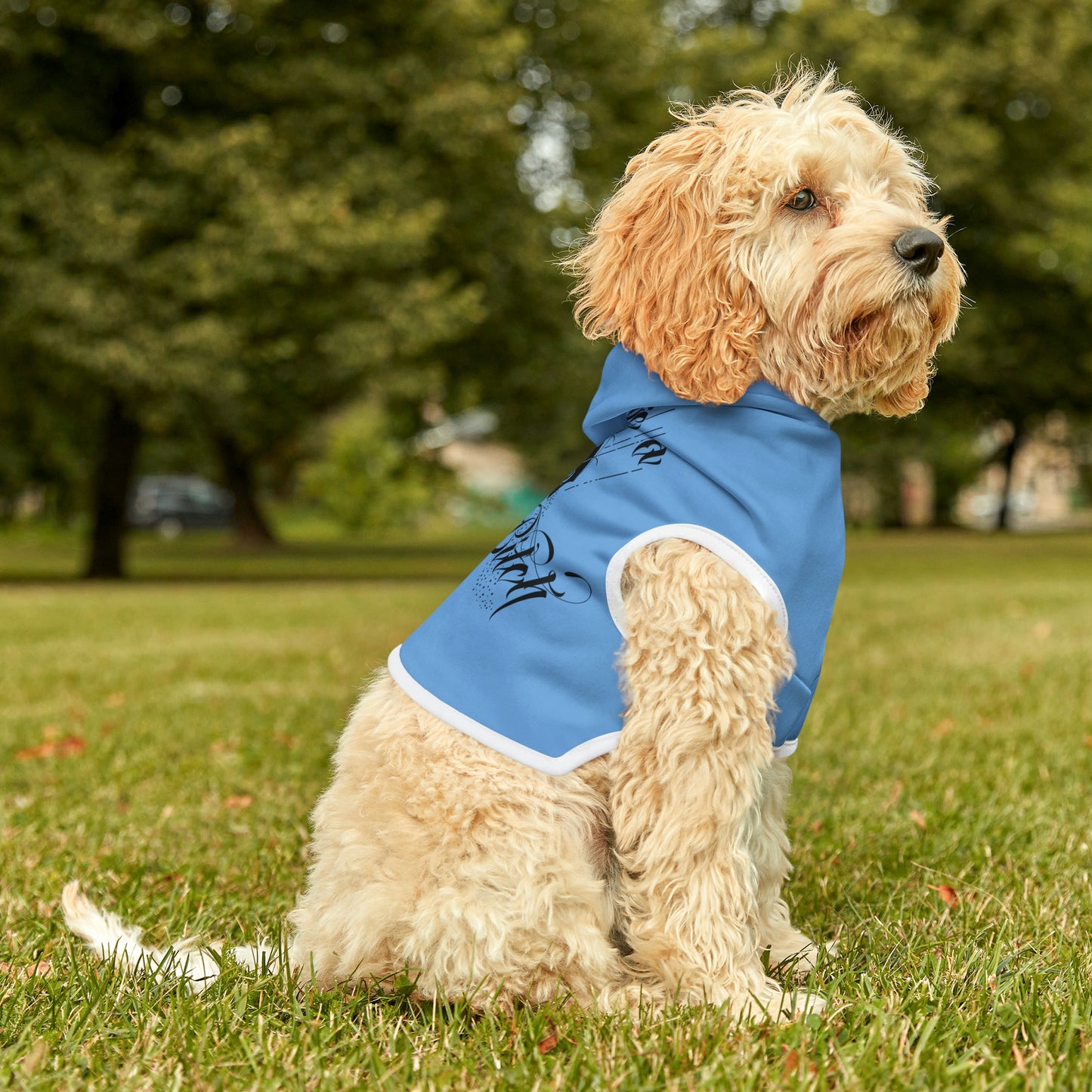 Don't Be Salty Blue Dog Hoodie