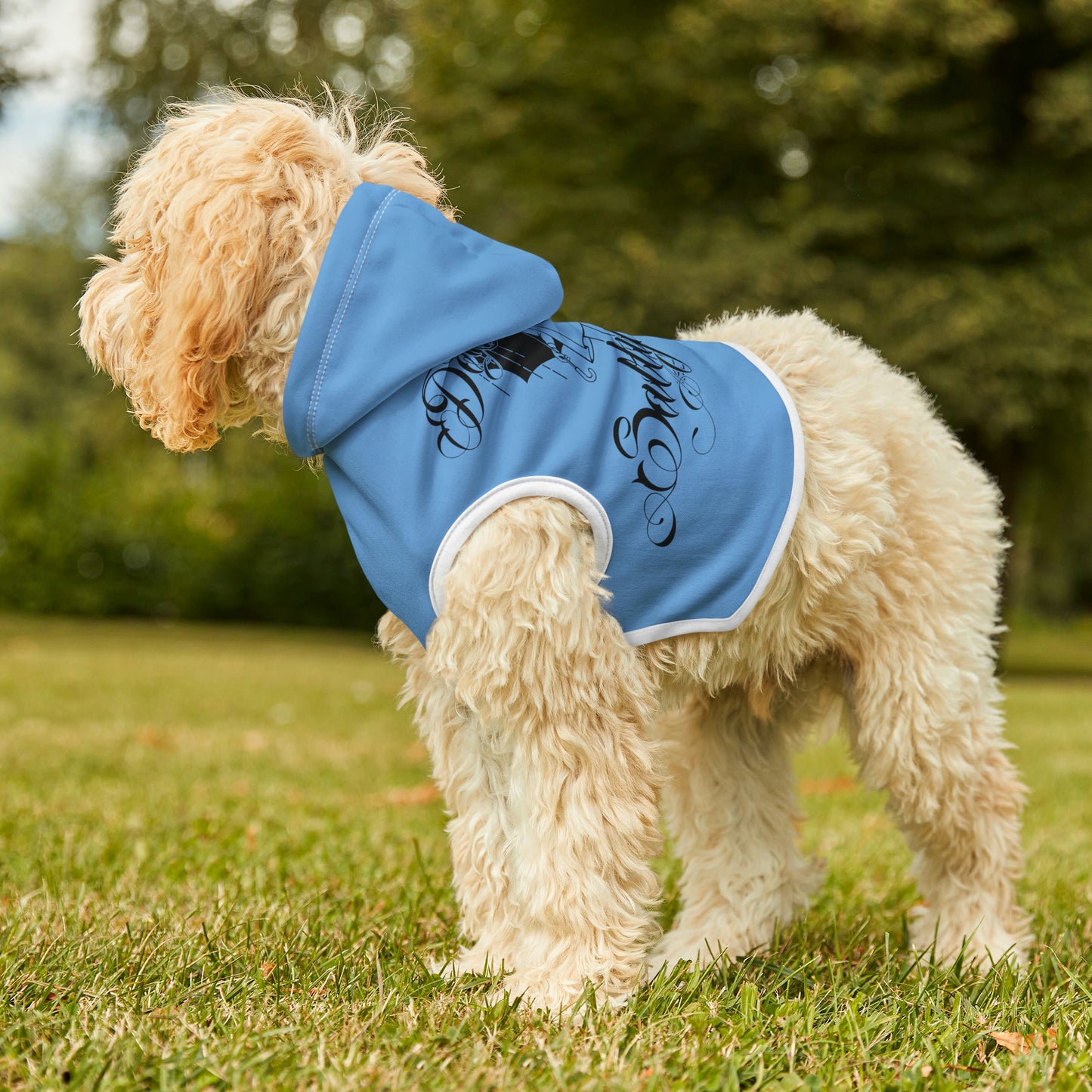 Don't Be Salty Blue Dog Hoodie