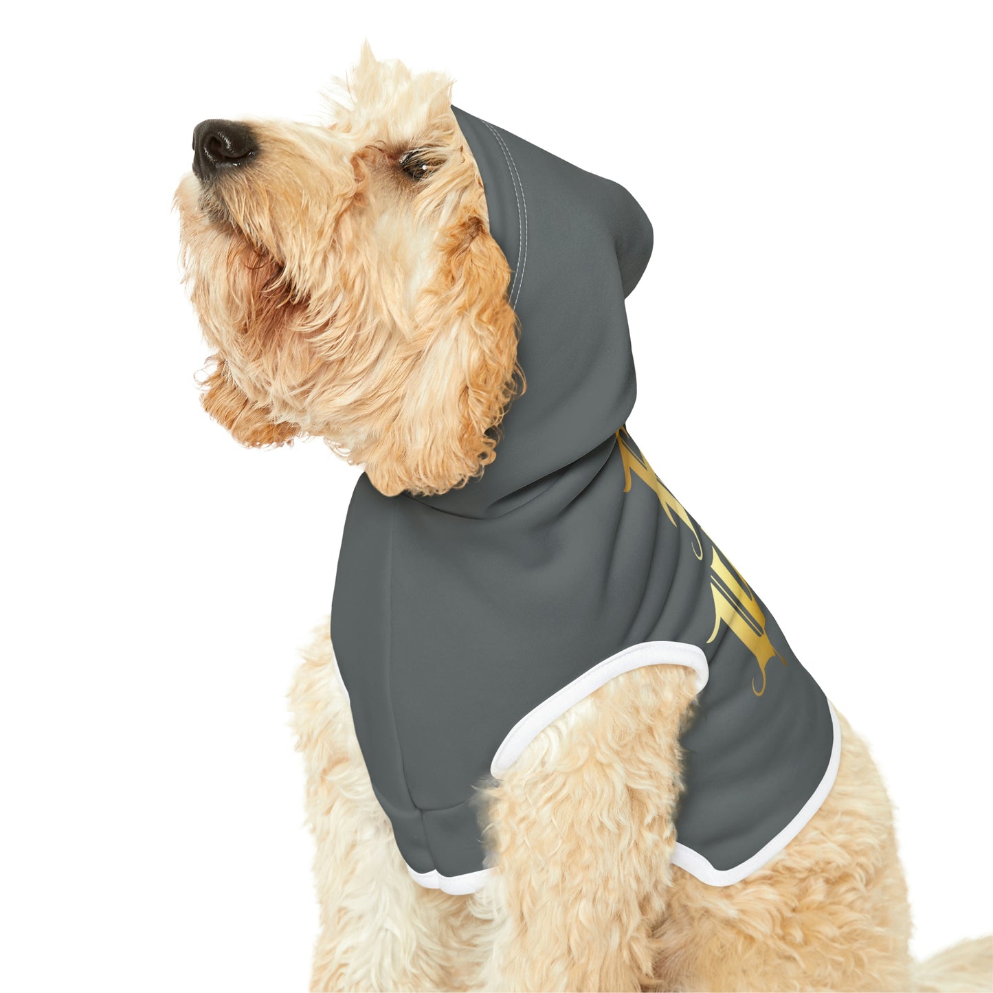 Four of Wands Dk Grey Dog Hoodie